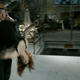 Image for article titled Avengers trailer screencaps show off Marvel's brand new Hulk, and more!